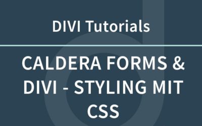 Caldera Forms und DIVI – Gestaltung der Formularfelder mit CSS
