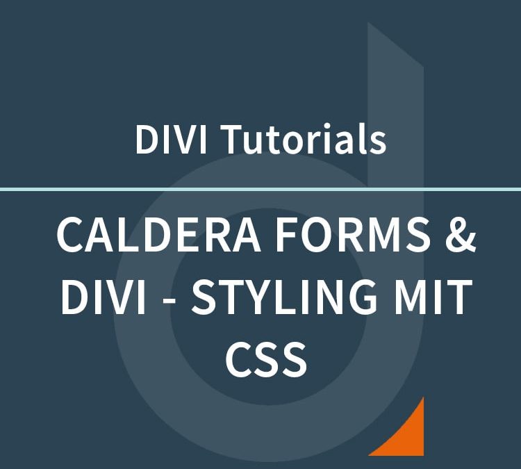 Caldera Forms und DIVI – Gestaltung der Formularfelder mit CSS